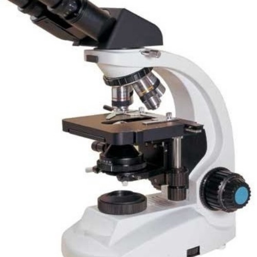 Binocular Microscope